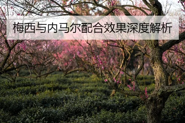 梅西与内马尔配合效果深度解析
